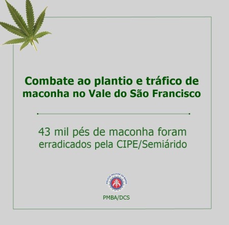 10408921_909843255705886_4750710291759782911_n