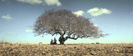 seca-arvore-com-um-cara-tocando