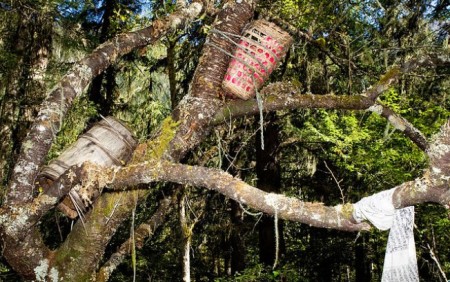 b1sqmrohdhup09vlca7jdxwh3